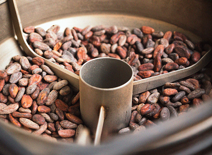 filiereproduttive-cioccolato-banner-01-xl