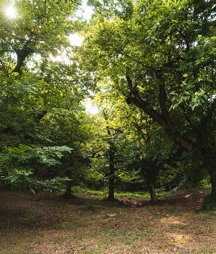 home-dublebanner-01-xl