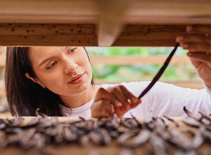 filiereproduttive-vaniglia-banner-01-xl