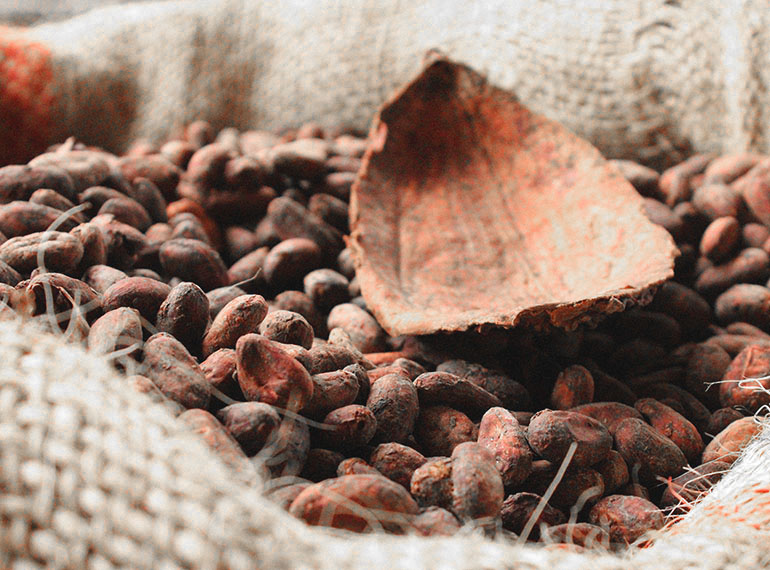 schedaprodotto-cioccolato-tab-05-xl