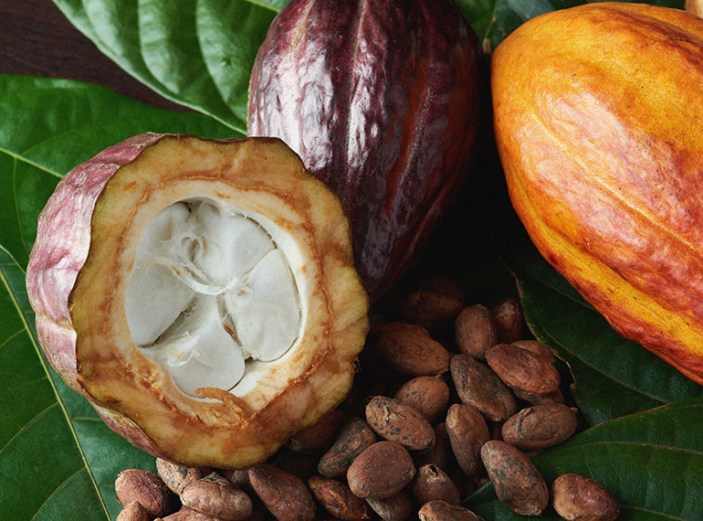 schedaprodotto-cioccolato-tab-10-xl