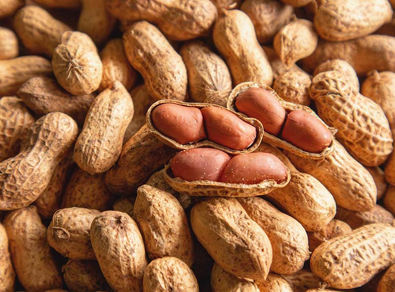 schedaprodotto-fruttainguscio-tab-01-xl