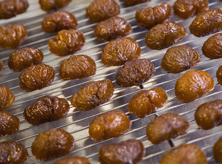 schedaprodotto-marroni-tab-07-xl