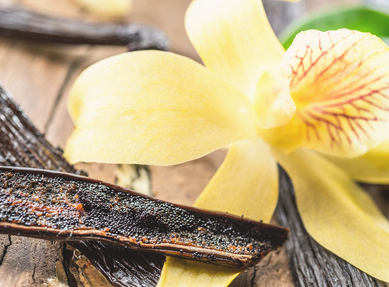 schedaprodotto-vaniglia-image-02-xl